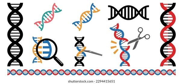 Vector illustration set of simple DNA