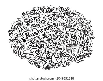 Vector illustration. A set of simple doodle mushrooms of different types (honey agarics, toadstools, porcini mushrooms, chanterelles). Coloring book for children theme of autumn.