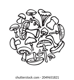 Vector illustration. A set of simple doodle mushrooms of different types (honey agarics, toadstools, porcini mushrooms, chanterelles). Coloring book for children theme of autumn.