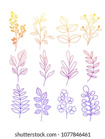 Vector illustration set of simple doodles of flowers and twigs with leaves in color line style on white background.