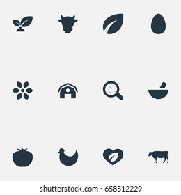 Vector Illustration Set Of Simple Ecology Icons. Elements Dairy, Livestock, Organic And Other Synonyms Eco, Hen And Barn.