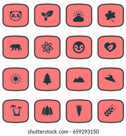 Vector Illustration Set Of Simple Ecology Icons. Elements Carrot, Frond, Jungle And Other Synonyms Panda, Tree And Christmas.