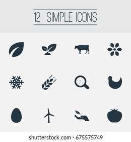 Vector Illustration Set Of Simple Ecology Icons. Elements Chicken, Spring, Easter And Other Synonyms Blossom, Leaves And Protection.