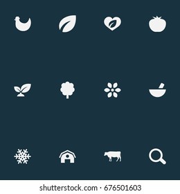 Vector Illustration Set Of Simple Ecology Icons. Elements Forest, Life, Dairy And Other Synonyms Frost, Magnification And Organic.