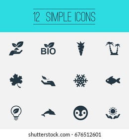 Vector Illustration Set Of Simple Ecology Icons. Elements Frond, Aquatic Wildlife, Carrot And Other Synonyms Leaf, Dolphin And Reef.