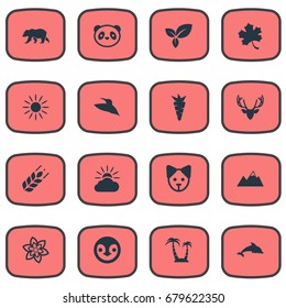 Vector Illustration Set Of Simple Ecology Icons. Elements Grampus, Pinnacle, Canine And Other Synonyms Solar, Palm And Moose.