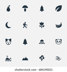 Vector Illustration Set Of Simple Ecology Icons. Elements Leafage, Lightning, Tropical Fruit And Other Synonyms Thunder, Cloud And Lightning.