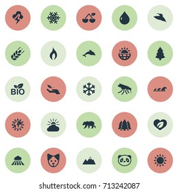Vector Illustration Set Of Simple Ecology Icons. Elements Ignite, Gnat, Cloud And Other Synonyms Ignite, Storm And Animal.