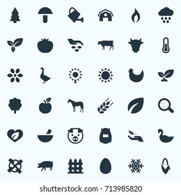 Vector Illustration Set Of Simple Ecology Icons. Elements Foliage, Champignon, Fruit And Other Synonyms Care, Agriculture And Shield.