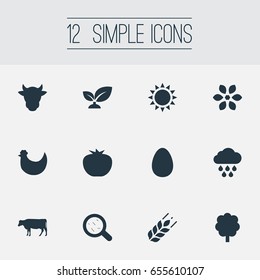 Vector Illustration Set Of Simple Energy Icons. Elements Bacteria, Dairy, Forest And Other Synonyms Bacteria, Forest And Harvest.