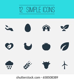Vector Illustration Set Of Simple Energy Icons. Elements Chicken, Storm, Vegetables And Other Synonyms Energy, Wheat And Weather.
