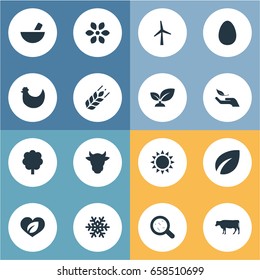 Vector Illustration Set Of Simple Energy Icons. Elements Blossom, Easter, Dairy And Other Synonyms Livestock, Blossom And Mortar.