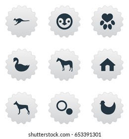 Vector Illustration Set Of Simple Fauna Icons. Elements Antarctica, Doghouse, Stallion And Other Synonyms Security, Goose And Bird.