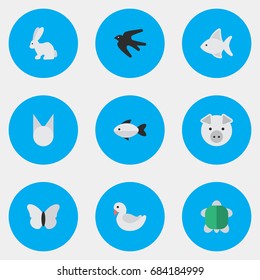 Vector Illustration Set Of Simple Fauna Icons. Elements Sparrow, Swan, Perch And Other Synonyms Seafood, Cat And Turtle.