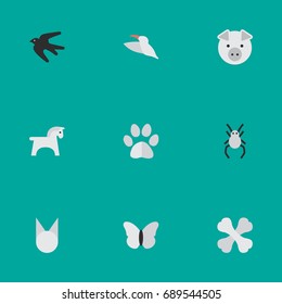 Vector Illustration Set Of Simple Fauna Icons. Elements Tarantula, Piggy, Cat And Other Synonyms Hoof, Moth And Horse.