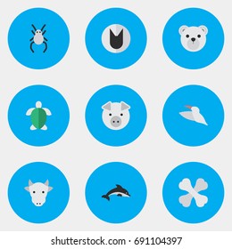 Vector Illustration Set Of Simple Fauna Icons. Elements Tomcat, Turtle, Skeleton And Other Synonyms Bones, Animal And Widow.