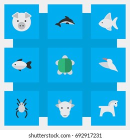 Vector Illustration Set Of Simple Fauna Icons. Elements Crane, Tortoise, Piggy And Other Synonyms Widow, Spider And Tortoise.
