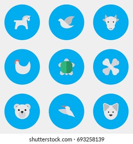 Vector Illustration Set Of Simple Fauna Icons. Elements Kine, Tortoise, Panda Synonyms Bird, Bear And Panda.