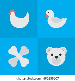 Vector Illustration Set Of Simple Fauna Icons. Elements Panda , Skeleton, Swan Synonyms Bones, Bear And Panda.