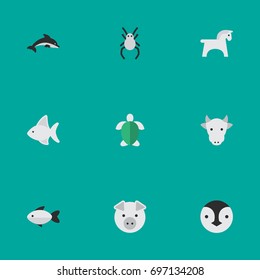 Vector Illustration Set Of Simple Fauna Icons. Elements Fish, Tarantula, Perch And Other Synonyms Pig, Steed And Kine.