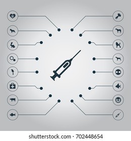 Vector Illustration Set Of Simple Fauna Icons. Elements Hair Brush, Macaw, Bunny And Other Synonyms Syringe, Dog And Horse.