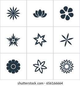 Vector Illustration Set Of Simple Flower Icons. Elements Aloha, Narcissus, Gardemiya And Other Synonyms Blossoming, Marguerite And Florist.