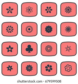 Vector Illustration Set Of Simple Flower Icons. Elements Daisy, Floral, Blossoming And Other Synonyms Marigold, Daffodils And Floral.
