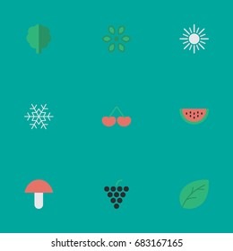 Vector Illustration Set Of Simple Garden Icons. Elements Fungus, Blossom, Sun And Other Synonyms Pot, Watermelon And Fruit.
