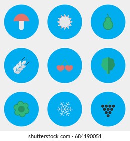 Vector Illustration Set Of Simple Garden Icons. Elements Fungus, Berry, Flake Of Snow And Other Synonyms Cherry, Forest And Flake.