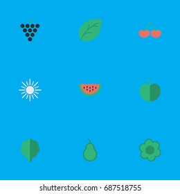 Vector Illustration Set Of Simple Garden Icons. Elements Wood, Sun, Berry And Other Synonyms Punching, Wood And Sunny.