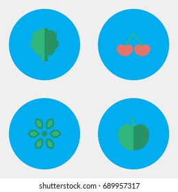 Vector Illustration Set Of Simple Garden Icons. Elements Wood, Berry, Blossom And Other Synonyms Tree, Flower And Pot.