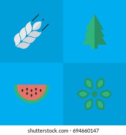 Vector Illustration Set Of Simple Garden Icons. Elements Melon, Corn, Tree And Other Synonyms Wheat, Pot And Berry.