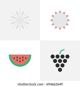 Vector Illustration Set Of Simple Garden Icons. Elements Wine, Sun, Melon And Other Synonyms Melon, Sunny And Wine.
