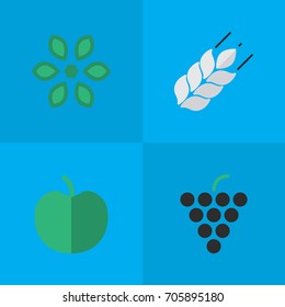 Vector Illustration Set Of Simple Garden Icons. Elements Fruit, Corn, Wine And Other Synonyms Fruit, Blossom And Pot.