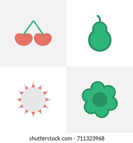Vector Illustration Set Of Simple Garden Icons. Elements Flower, Berry, Punching Bag And Other Synonyms Sunny, Punching And Flower.