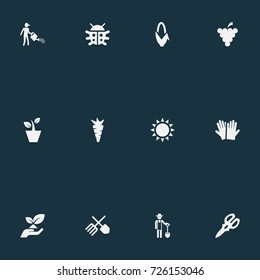 Vector Illustration Set Of Simple Garden Icons. Elements Root, Farmer, Fruit And Other Synonyms Plant, Flowerpot And Grower.