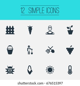 Vector Illustration Set Of Simple Gardening Icons. Elements Fruit, Maize, Sunshine And Other Synonyms Beetle, Thermometer And Farmer.