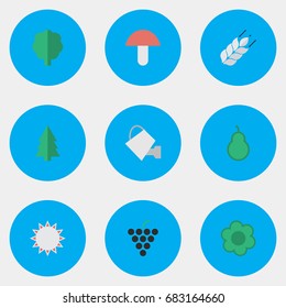 Vector Illustration Set Of Simple Gardening Icons. Elements Tree, Punching Bag, Sunny And Other Synonyms Grape, Boletus And Can.