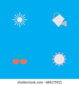 Vector Illustration Set Of Simple Gardening Icons. Elements Bailer, Berry, Sunny And Other Synonyms Fruit, Sunny And Watering.