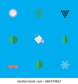 Vector Illustration Set Of Simple Gardening Icons. Elements Blossom, Flake Of Snow, Wood And Other Synonyms Snowflake, Apple And Grape.
