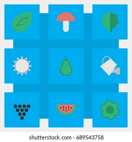 Vector Illustration Set Of Simple Gardening Icons. Elements Bailer, Sunny, Wine And Other Synonyms Sun, Paper And Can.
