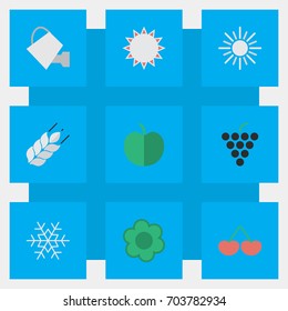 Vector Illustration Set Of Simple Gardening Icons. Elements Fruit, Bailer, Flake Of Snow And Other Synonyms Wineglass, Wheat And Grape.