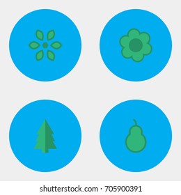 Vector Illustration Set Of Simple Gardening Icons. Elements Flower, Punching Bag, Tree And Other Synonyms Forest, Wood And Pear.
