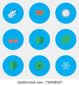 Vector Illustration Set Of Simple Gardening Icons. Elements Wood, Fruit, Sunny And Other Synonyms Paper, Sheet And Tree.