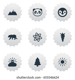 Vector Illustration Set Of Simple Geo Icons. Elements Bear, Diver, Pinnacle And Other Synonyms Penguin, Carrot And Shine.