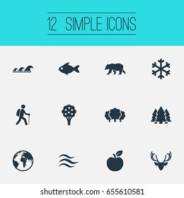 Vector Illustration Set Of Simple Geo Icons. Elements Aquatic Wildlife, Sea, Winter And Other Synonyms Bear, Reindeer And Moose.