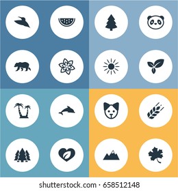 Vector Illustration Set Of Simple Geo Icons. Elements Canine, Grain, Polar Bear And Other Synonyms Jungle, Animal And Tree.