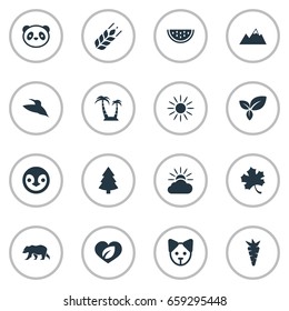 Vector Illustration Set Of Simple Geo Icons. Elements Carrot, Bird, Leaf And Other Synonyms Herb, Fir And Christmas.