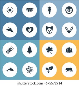 Vector Illustration Set Of Simple Geo Icons. Elements Moose, Diver, Frond And Other Synonyms Jungle, Bird And Cantaloupe.
