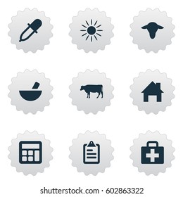 Vector Illustration Set Of Simple Harvest Icons. Elements Buffalo, Medical Kit, Ranch Home And Other Synonyms Information, Accounting And Medicine.